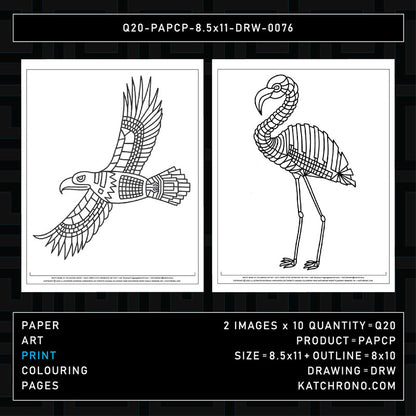 Q20-PAPCP-8.5x11-DRW-0076