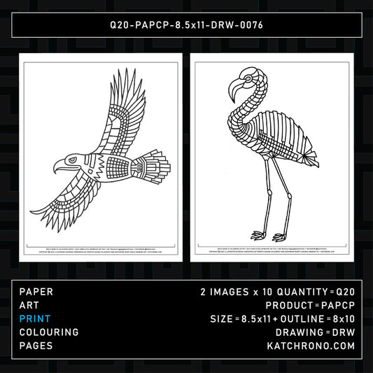 Q20-PAPCP-8.5x11-DRW-0076