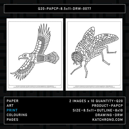 Q20-PAPCP-8.5x11-DRW-0077