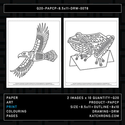 Q20-PAPCP-8.5x11-DRW-0078