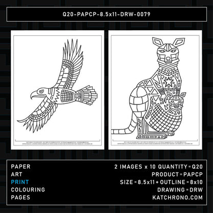 Q20-PAPCP-8.5x11-DRW-0079