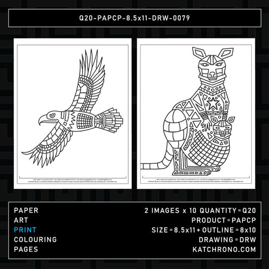 Q20-PAPCP-8.5x11-DRW-0079
