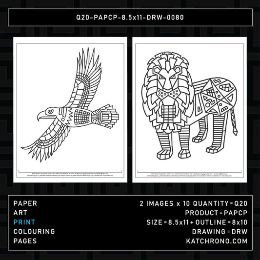 Q20-PAPCP-8.5x11-DRW-0080