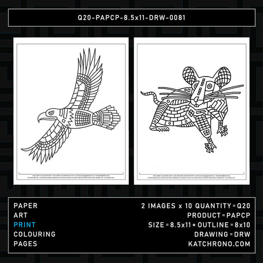 Q20-PAPCP-8.5x11-DRW-0081