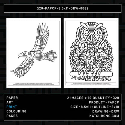 Q20-PAPCP-8.5x11-DRW-0082