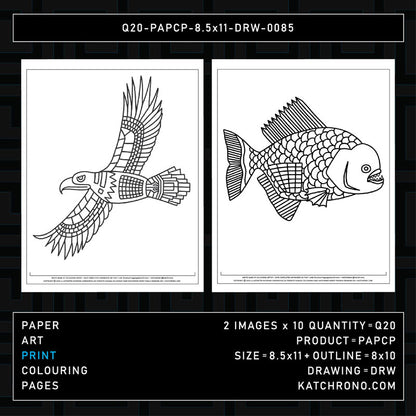 Q20-PAPCP-8.5x11-DRW-0085