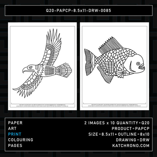 Q20-PAPCP-8.5x11-DRW-0085