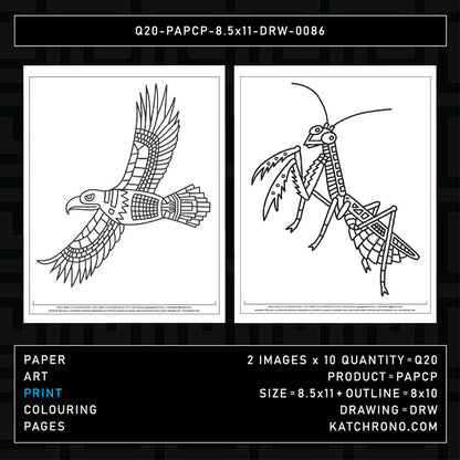 Q20-PAPCP-8.5x11-DRW-0086