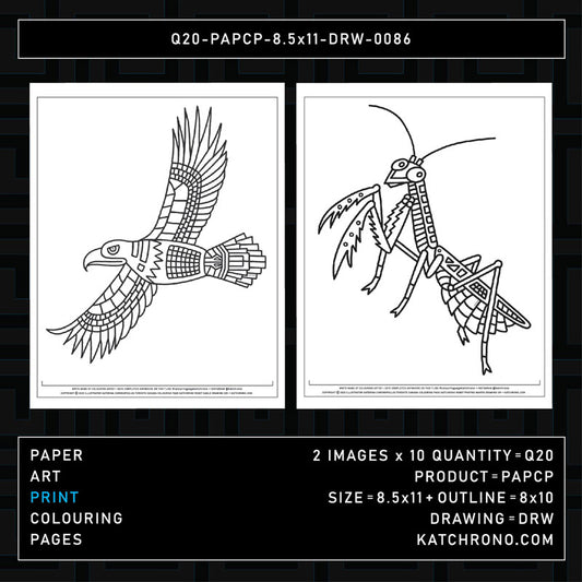 Q20-PAPCP-8.5x11-DRW-0086
