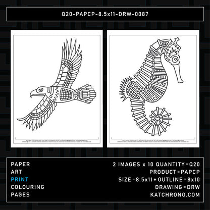 Q20-PAPCP-8.5x11-DRW-0087