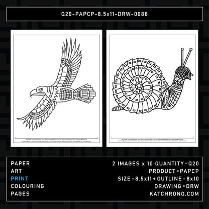 Q20-PAPCP-8.5x11-DRW-0088