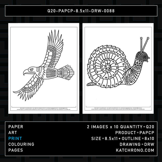 Q20-PAPCP-8.5x11-DRW-0088