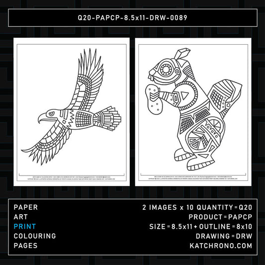 Q20-PAPCP-8.5x11-DRW-0089