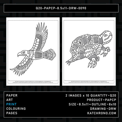 Q20-PAPCP-8.5x11-DRW-0090