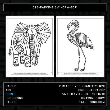 Q20-PAPCP-8.5x11-DRW-0091