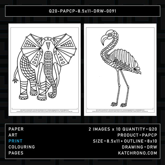 Q20-PAPCP-8.5x11-DRW-0091