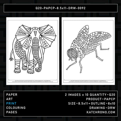 Q20-PAPCP-8.5x11-DRW-0092