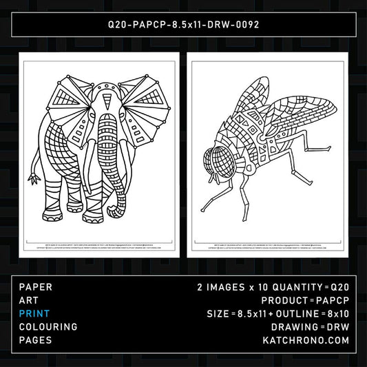 Q20-PAPCP-8.5x11-DRW-0092