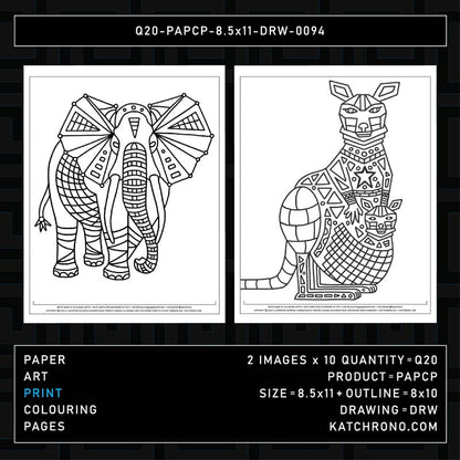 Q20-PAPCP-8.5x11-DRW-0094