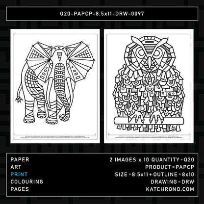 Q20-PAPCP-8.5x11-DRW-0097