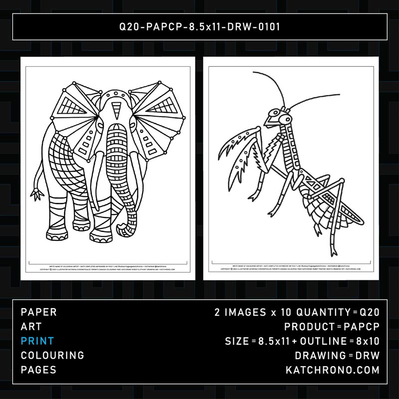 Q20-PAPCP-8.5x11-DRW-0101