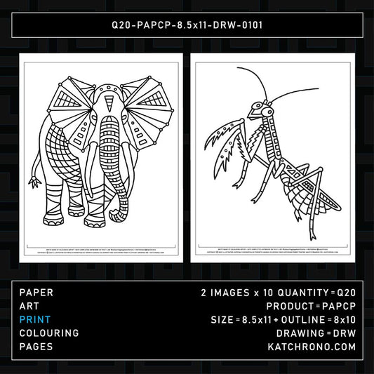 Q20-PAPCP-8.5x11-DRW-0101
