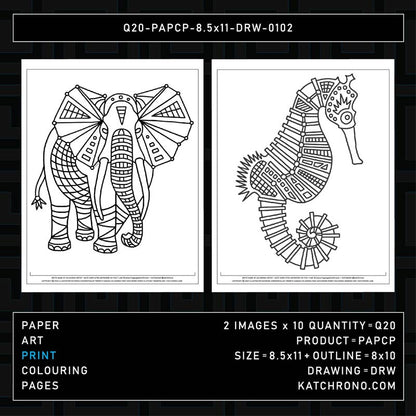 Q20-PAPCP-8.5x11-DRW-0102