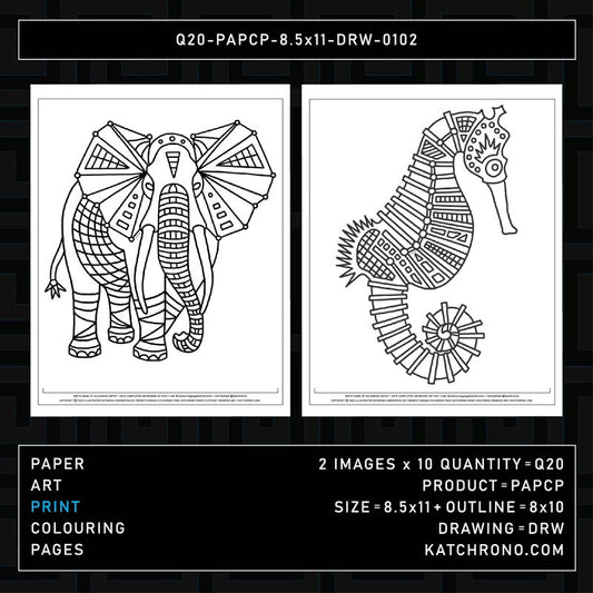 Q20-PAPCP-8.5x11-DRW-0102