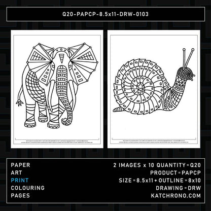 Q20-PAPCP-8.5x11-DRW-0103