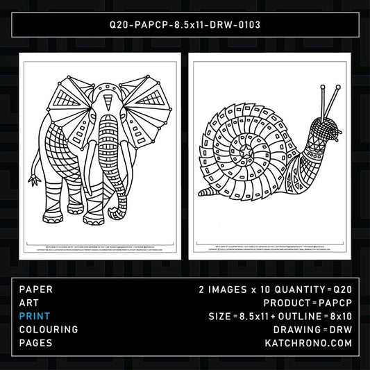 Q20-PAPCP-8.5x11-DRW-0103