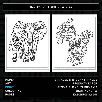 Q20-PAPCP-8.5x11-DRW-0104