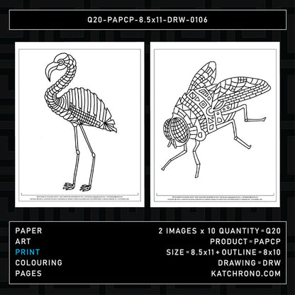 Q20-PAPCP-8.5x11-DRW-0106