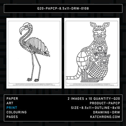 Q20-PAPCP-8.5x11-DRW-0108