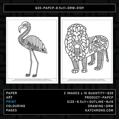 Q20-PAPCP-8.5x11-DRW-0109