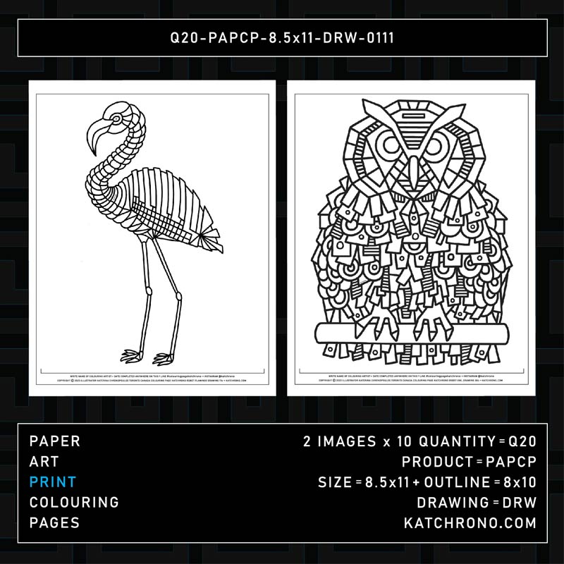 Q20-PAPCP-8.5x11-DRW-0111