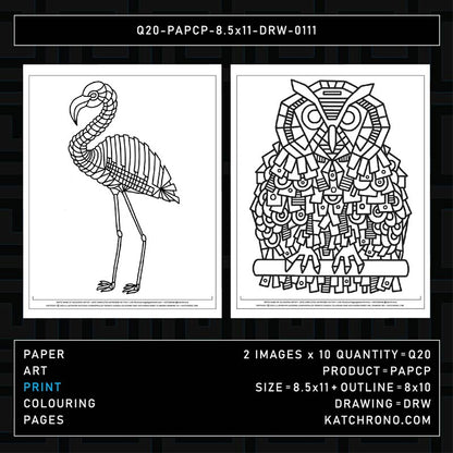Q20-PAPCP-8.5x11-DRW-0111