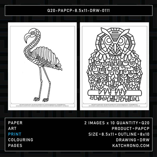Q20-PAPCP-8.5x11-DRW-0111