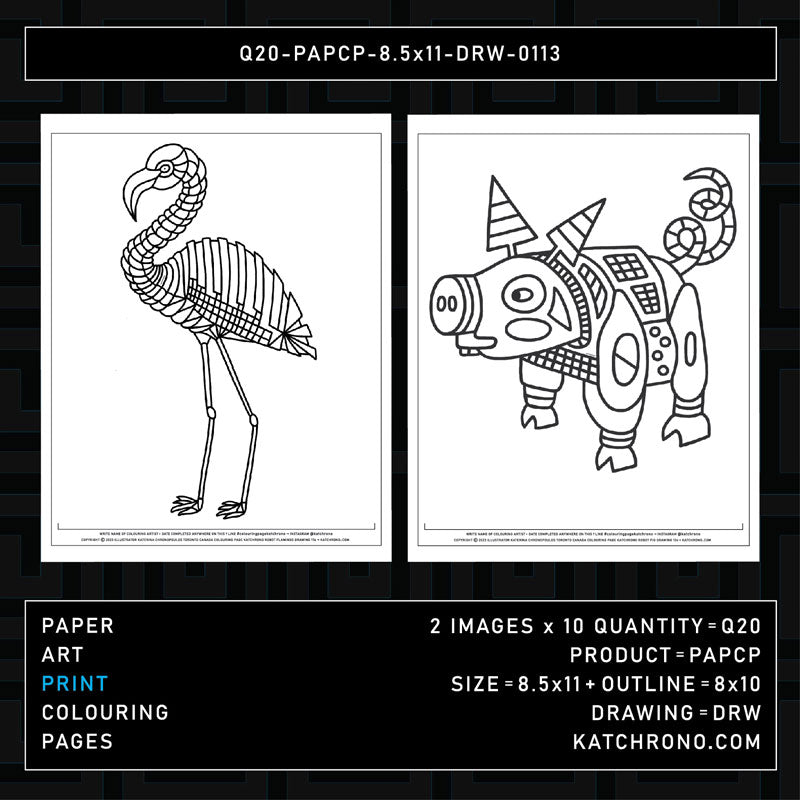 Q20-PAPCP-8.5x11-DRW-0113