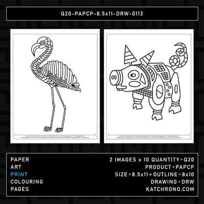 Q20-PAPCP-8.5x11-DRW-0113