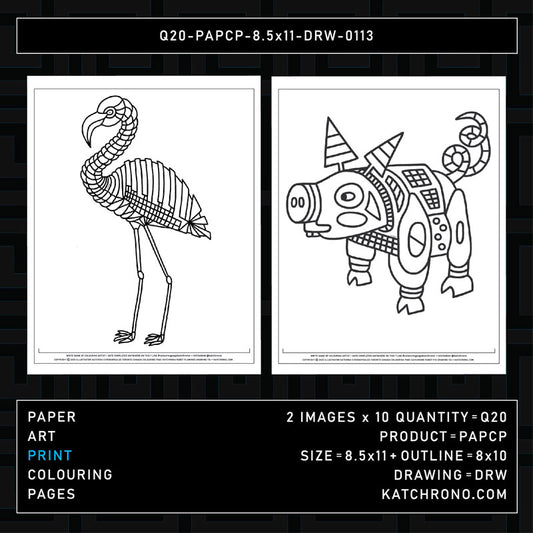Q20-PAPCP-8.5x11-DRW-0113
