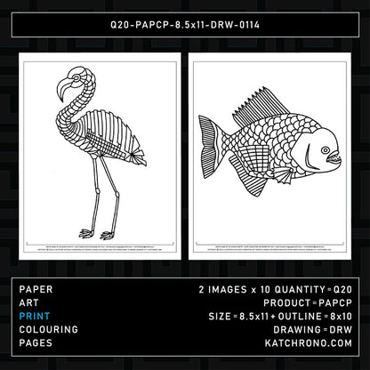 Q20-PAPCP-8.5x11-DRW-0114