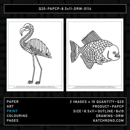 Q20-PAPCP-8.5x11-DRW-0114