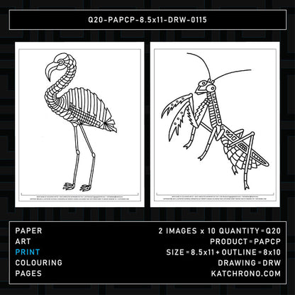 Q20-PAPCP-8.5x11-DRW-0115