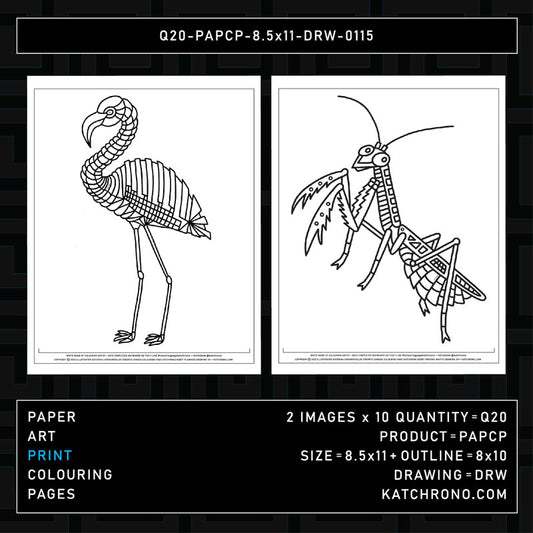 Q20-PAPCP-8.5x11-DRW-0115