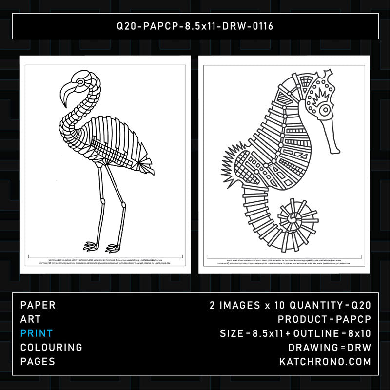 Q20-PAPCP-8.5x11-DRW-0116