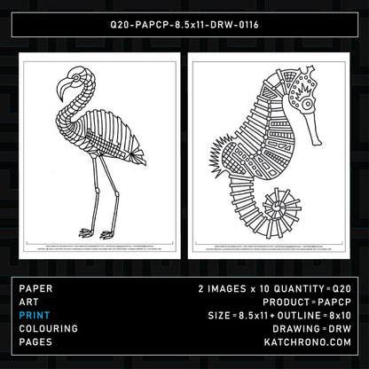 Q20-PAPCP-8.5x11-DRW-0116
