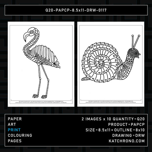 Q20-PAPCP-8.5x11-DRW-0117