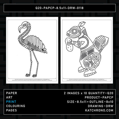 Q20-PAPCP-8.5x11-DRW-0118