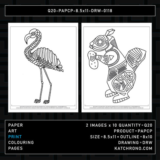 Q20-PAPCP-8.5x11-DRW-0118