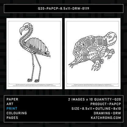 Q20-PAPCP-8.5x11-DRW-0119